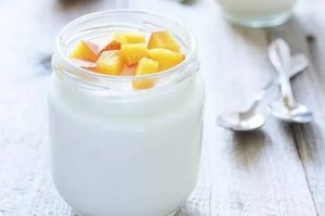 holidale-yogurt-wiki10