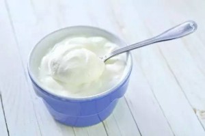 holidale-yogurt-wiki12