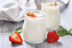 holidale-yogurt-wiki2