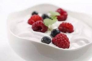 holidale-yogurt-wiki6